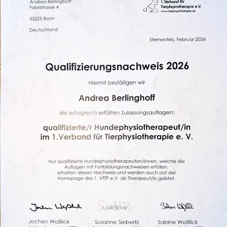 Qualifizierungsnachweis 2026